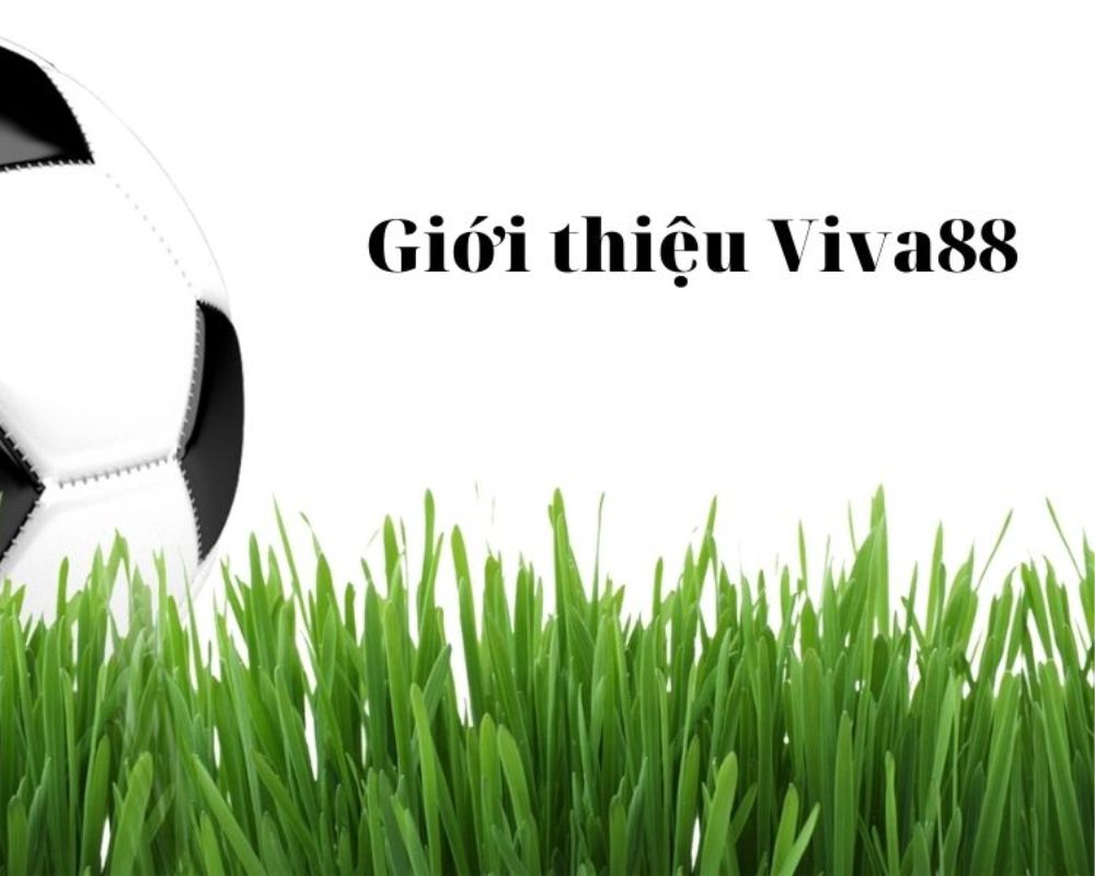 Viva88 Đăng Nhập - Link vào viva88 trên điện thoại